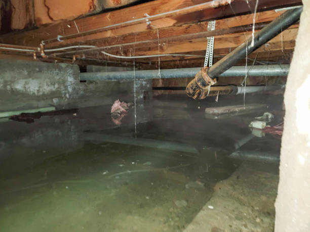 Best Water damage restoration near me  in Rolesville, NC
