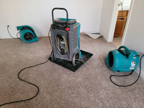 Best Water damage mitigation services  in Rolesville, NC