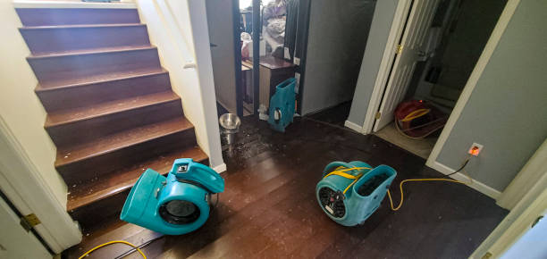 Best Basement water damage restoration  in Rolesville, NC