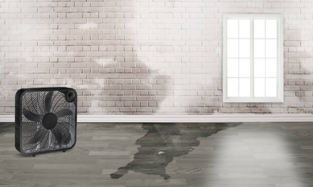 Best Commercial water damage restoration  in Rolesville, NC