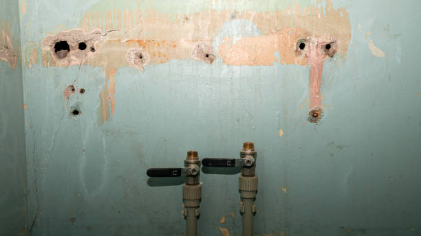 Best Residential water damage restoration  in Rolesville, NC