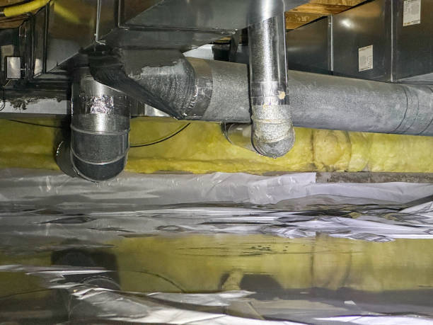 Best Flood damage cleanup  in Rolesville, NC