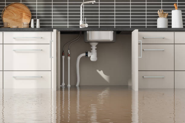 Best Water damage repair service  in Rolesville, NC