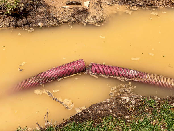 Best Local water damage restoration  in Rolesville, NC