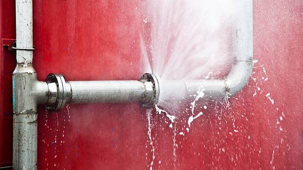 Best Flood restoration services  in Rolesville, NC